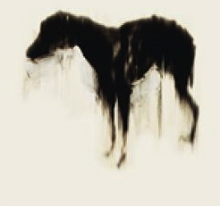 Black Dog Anxiety Questionnaire Black Dog Anxiety Questionnaire